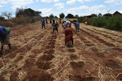 Case Conservation Agriculture Training In Kenya Welcome To The Fabo