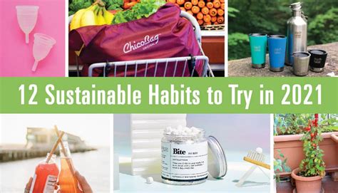 Building Sustainable Habits A Journey To A Greener Healthier Future