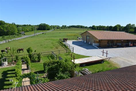 Installation Haras Des Quatre Vents Elevage Cheval Islandais