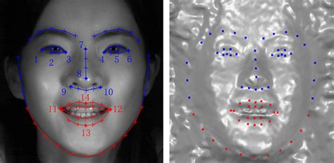 A Static Facial Landmarks Blue And Dynamic Facial Landmarks Red