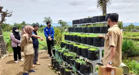 Ciptakan Ketahanan Pangan Keluarga Dengan Memanfaatkan Pekarangan Rumah