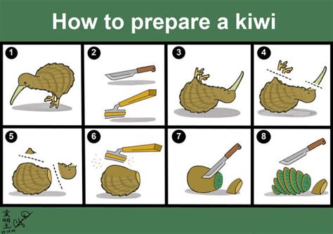 How To Prepare A Kiwi By Sojiokage On Deviantart