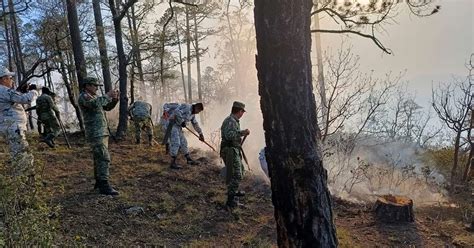 Ejército Lucha Contra Incendio Forestal En La Zona Más Alta De Tamaulipas