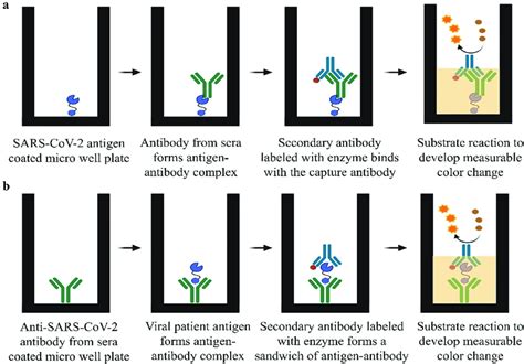 Detection Of Sars Cov Antibody By Indirect Elisa A And Antigen By