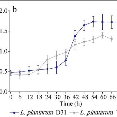 Growth Curves Of L Plantarum D And T Strains Incubated In The Mrs