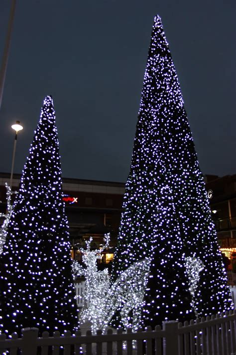 O Tannenbaum