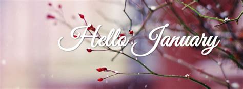 Download Beautiful Facebook Cover Photos For January Hello January