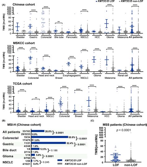 Association Of Kmt2cd Lof With Tmb Or Msi‐h Status A Comparisons Of