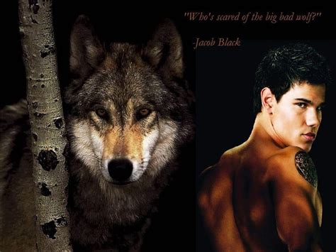 Jacob Black Wallpapers Top Free Jacob Black Backgrounds Wallpaperaccess