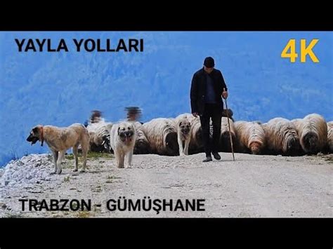 Yayla Yollari Trabzon G M Hane Youtube