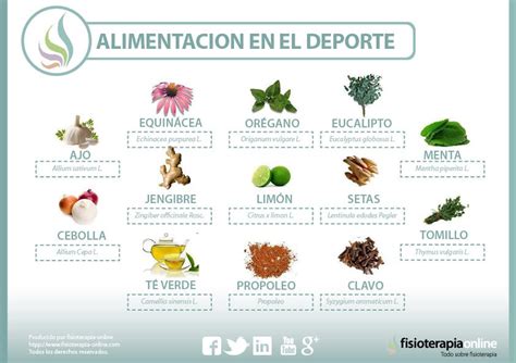 Ocurrencia Recibir Naufragio Plantas Medicinales Y Para Que Sirven