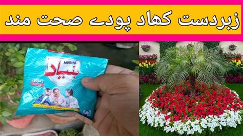 Fertilizer For Plants Milk Fertilizer For Plants Youtube