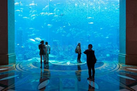 Aquarium In Atlantis Hotel, Dubai, United Arab Emirates Editorial Stock Photo - Image of ...