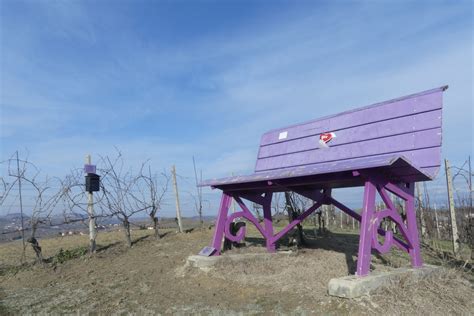 Panchine Giganti E Colorate Delle Langhe Italian Wine Discovery