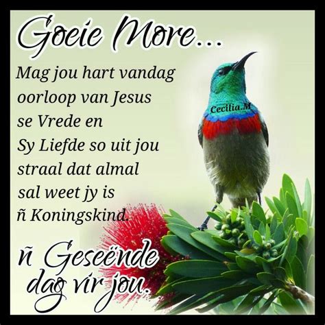 Pin By Celia Preez On Goeie Môre Goeie More Afrikaanse Quotes Good Morning Quotes