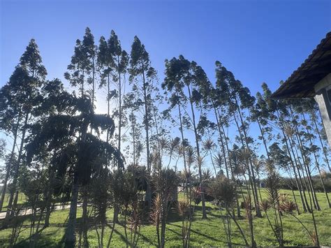 Sitio Maranata Xerem - Sítio Renascer de Xerém added a... - Sítio Renascer de Xerém