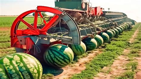 Modern Agriculture Harvesting Machine Watermelon Pumpkin Carrots