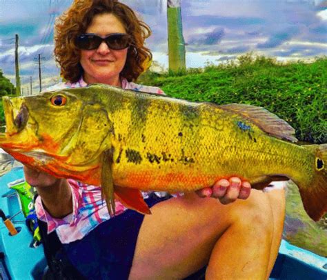 Extreme Kayak Fishing Set For Inaugural Delray Beach Tournament Palm