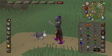 Rocky on 16 thieving from a tea stall. 1/200k+ drop rate : r/2007scape