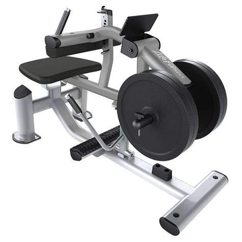 Life Fitness Signature Series Calf Raise Amazon Leisure