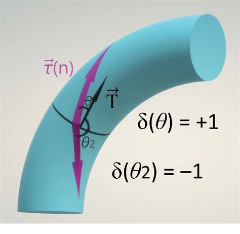 Figure From Quantification Of Oscillatory Shear Stress From