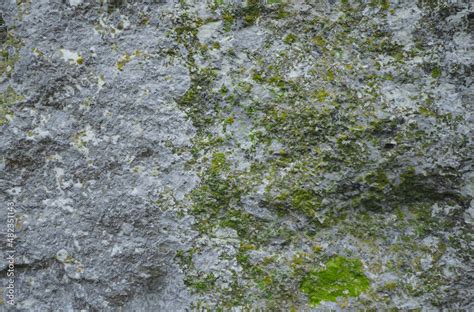 Mossy Rock Texture