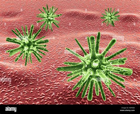 Germs in the body Stock Photo - Alamy