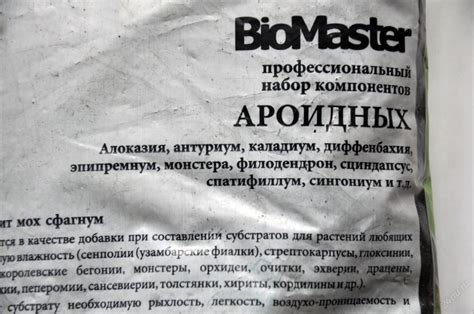 Чем подкормить спатифиллум в домашних условиях, чтобы цвел