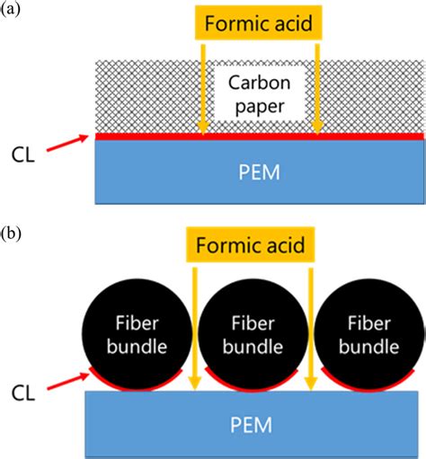 Effect Of The Porous Transport Layer Structure On A Cross Over