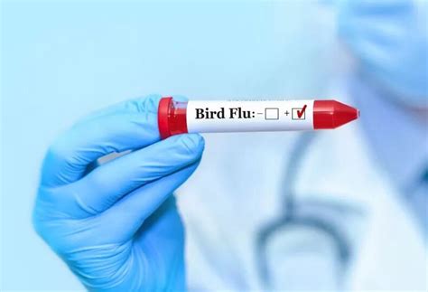 H5N1 Bird Flu Strikes Again Third Human Case Confirmed In US State