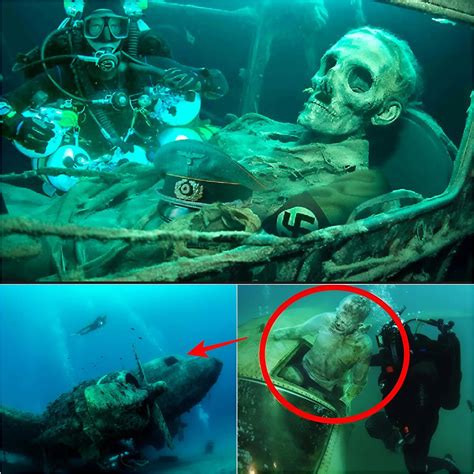 The 72nd precinct just solved a thirty year old mystery 15