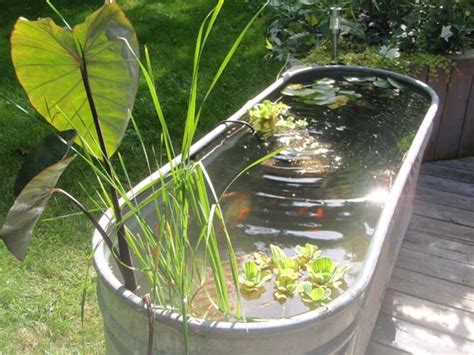 22 Small Garden or Backyard Aquarium Ideas Will Blow Your Mind - Amazing DIY, Interior & Home Design