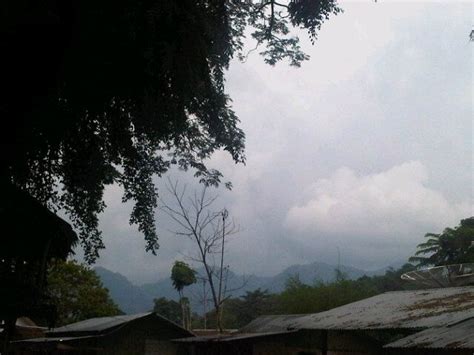 Taman Nasional Bukit Lawang Taman Nasional Gunung Leuser Taman