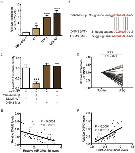 Dnm3 Is A Target Of Mir 376c 3p In Ptc Notes A Mir 376c 3p Levels Download Scientific