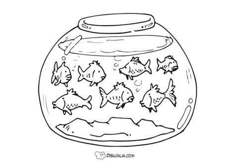 Pecera Llena De Peces Dibujo Dibujalia Dibujos Para