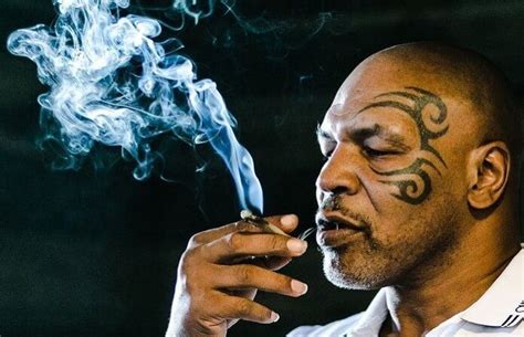 Mike Tyson Revela Que Fumou Maconha Antes De Luta Contra Roy Jones