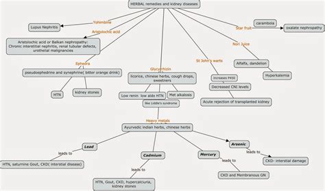 Chronic Kidney Disease Concept Map - Map