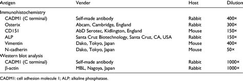 List Of Primary Antibodies Used Download Table