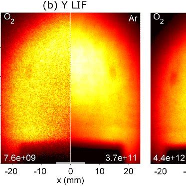 Density Distributions Of Several Components Of An Ybo Plasma Plume