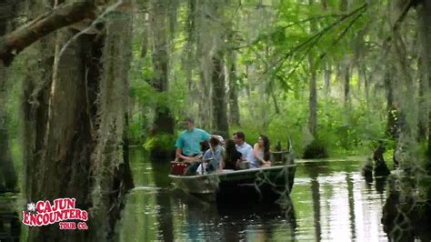 Take A Honey Island Swamp Tour With Cajun Encounters Youtube