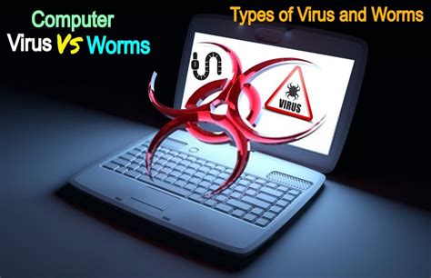 Computer Viruses vs Network Worms | Tpbapp.com