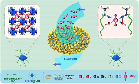 A Poly Amidoxime Modified MOF Macroporous Membrane For High Efficient