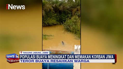 Teror Buaya Muncul Di Sungai Resahkan Warga Tanjung Jabung Jambi