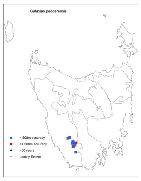 Pedder Galaxias Threatened Species Link