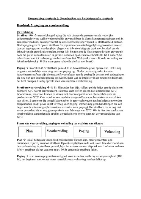 Samenvatting Grondtrekken Van Het Nederlandse Strafrecht Hoofdstuk