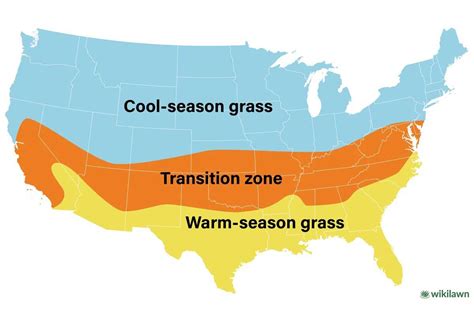 Guide To Warm Season Grasses