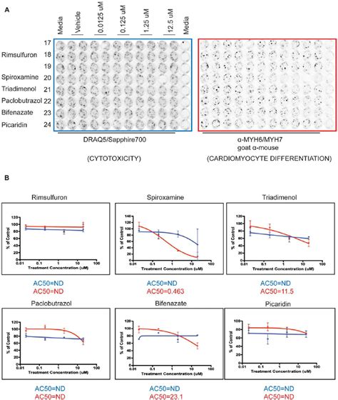 Dose Response Curves Generated For Cytotoxicity And Differentiation