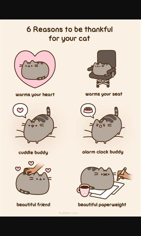 Pusheen cat - Meme by Hidari_san :) Memedroid