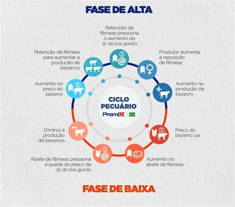 Ciclo Pecu Rio Apesar Da Maior Queda Poss Vel Lucrar Alto Comprerural