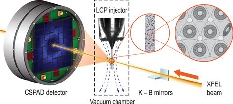 Serial Femtosecond Crystallography Of G ProteinCoupled Receptors Science